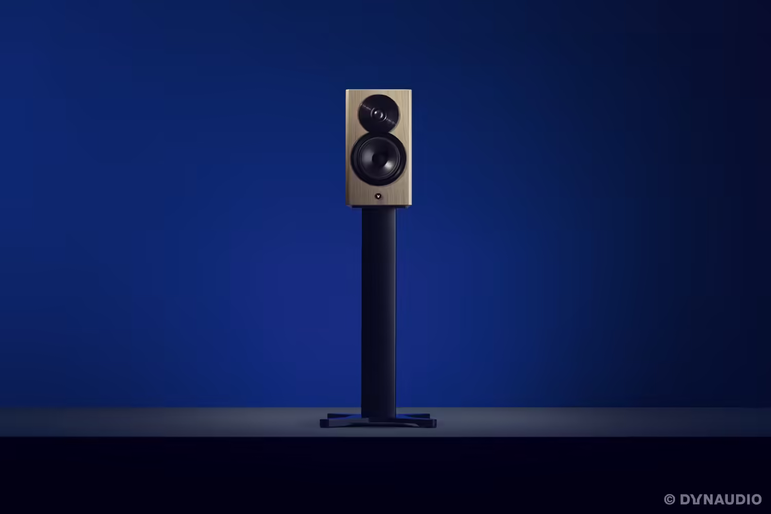 dynaudiofocus10_blonde_01