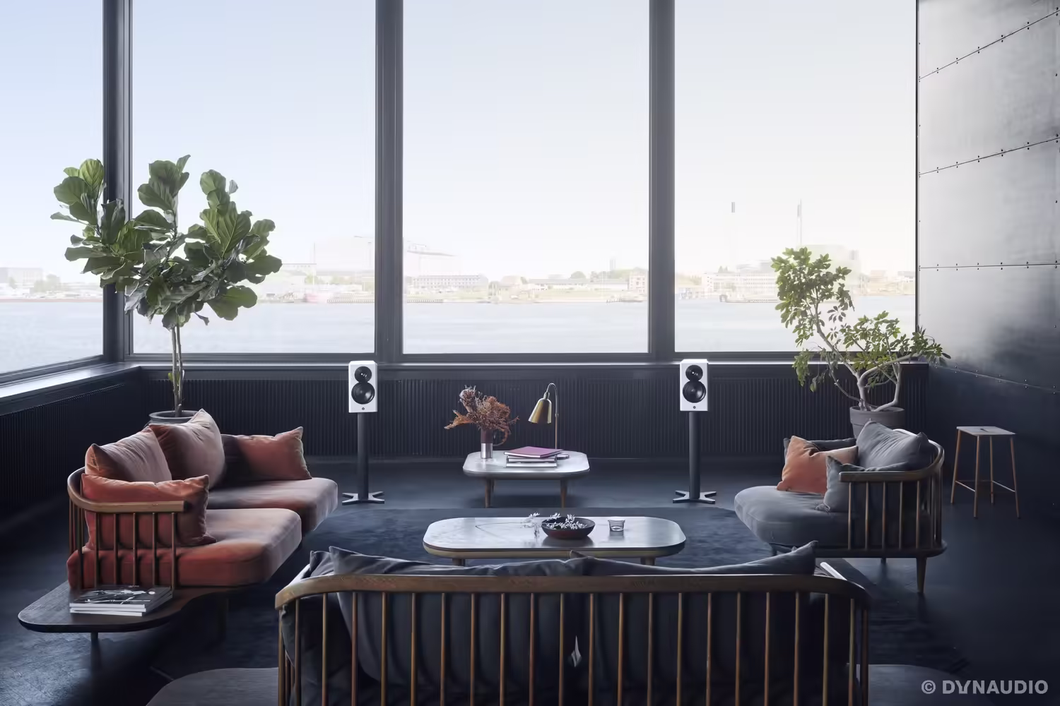 dynaudiofocus10_white_01